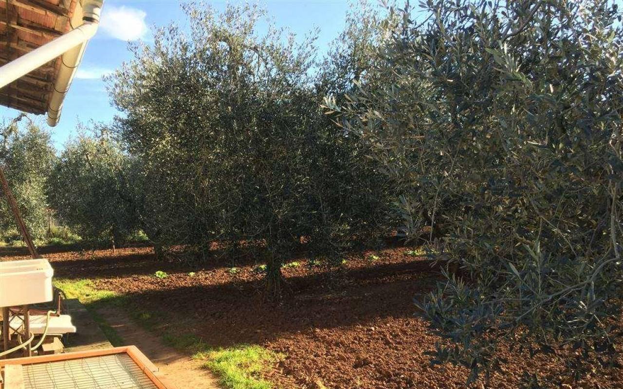 Terreno o annesso agricolo in vendita a San Vincenzo (LI) - rif. 43 tsv