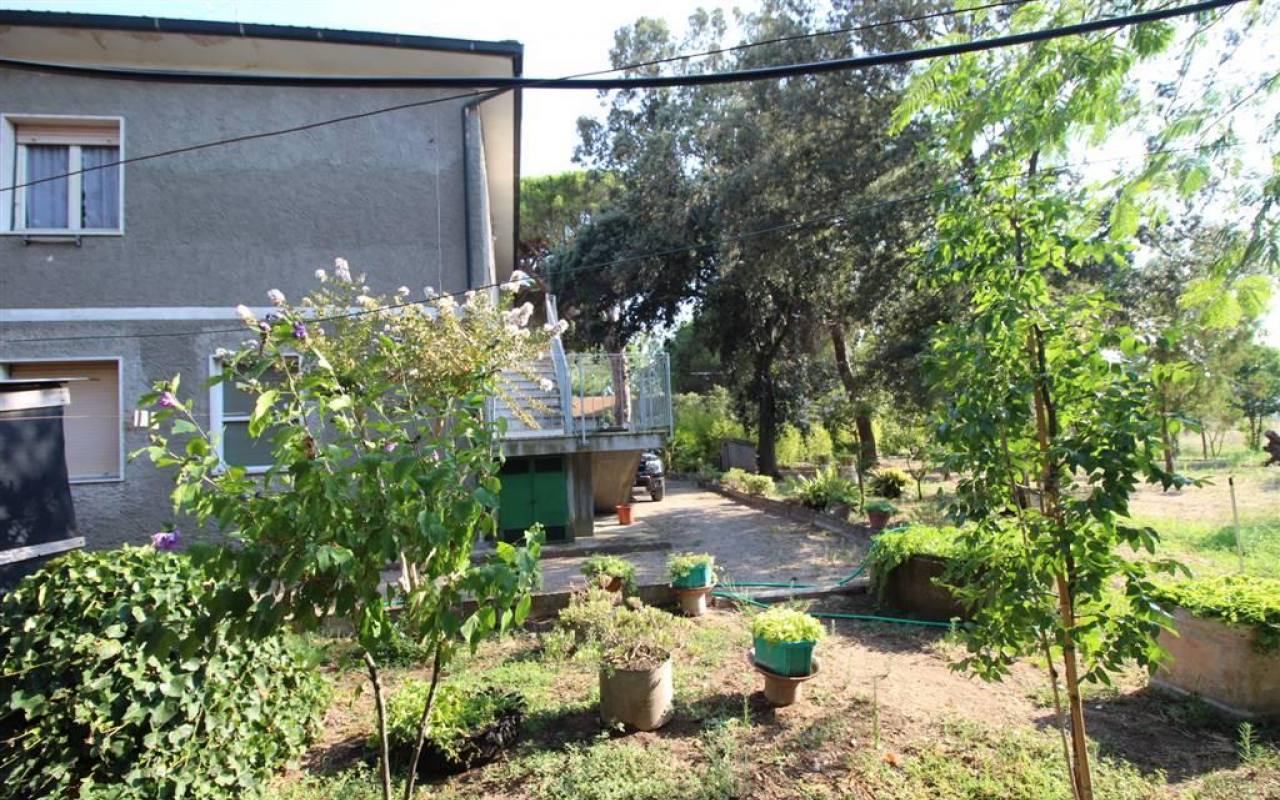 Casale in vendita a Donoratico (LI) - rif. 137 vf