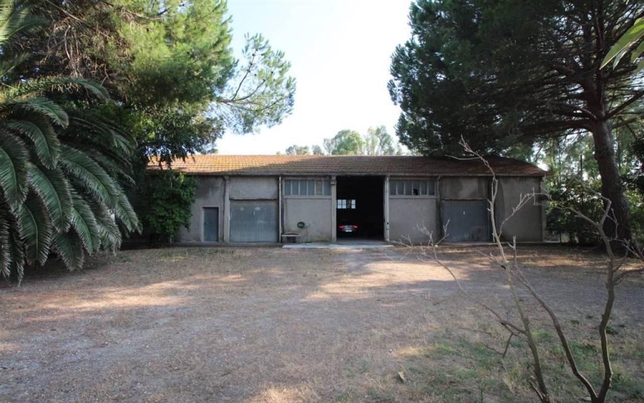 Casale in vendita a Donoratico (LI) - rif. 137 vf