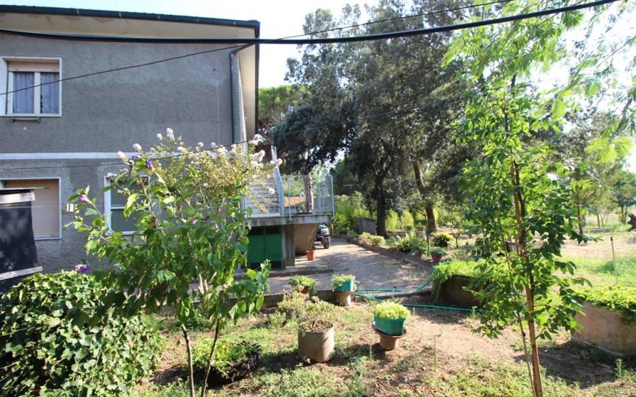 Casale in vendita a Donoratico (LI) - rif. 137 vf