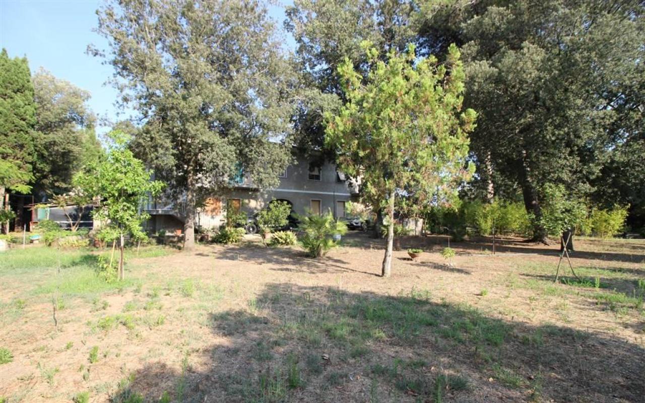 Casale in vendita a Donoratico (LI) - rif. 137 vf