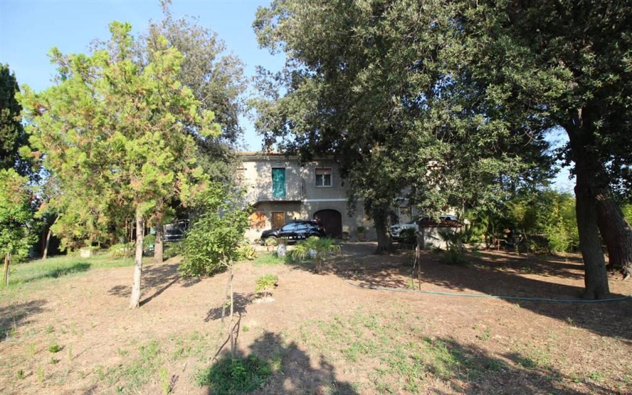 Casale in vendita a Donoratico (LI) - rif. 137 vf