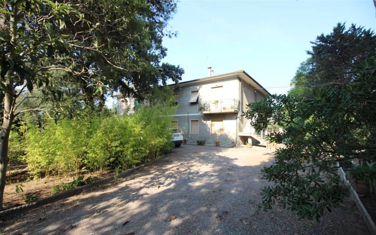 Casale in vendita a Donoratico (LI) - rif. 137 vf