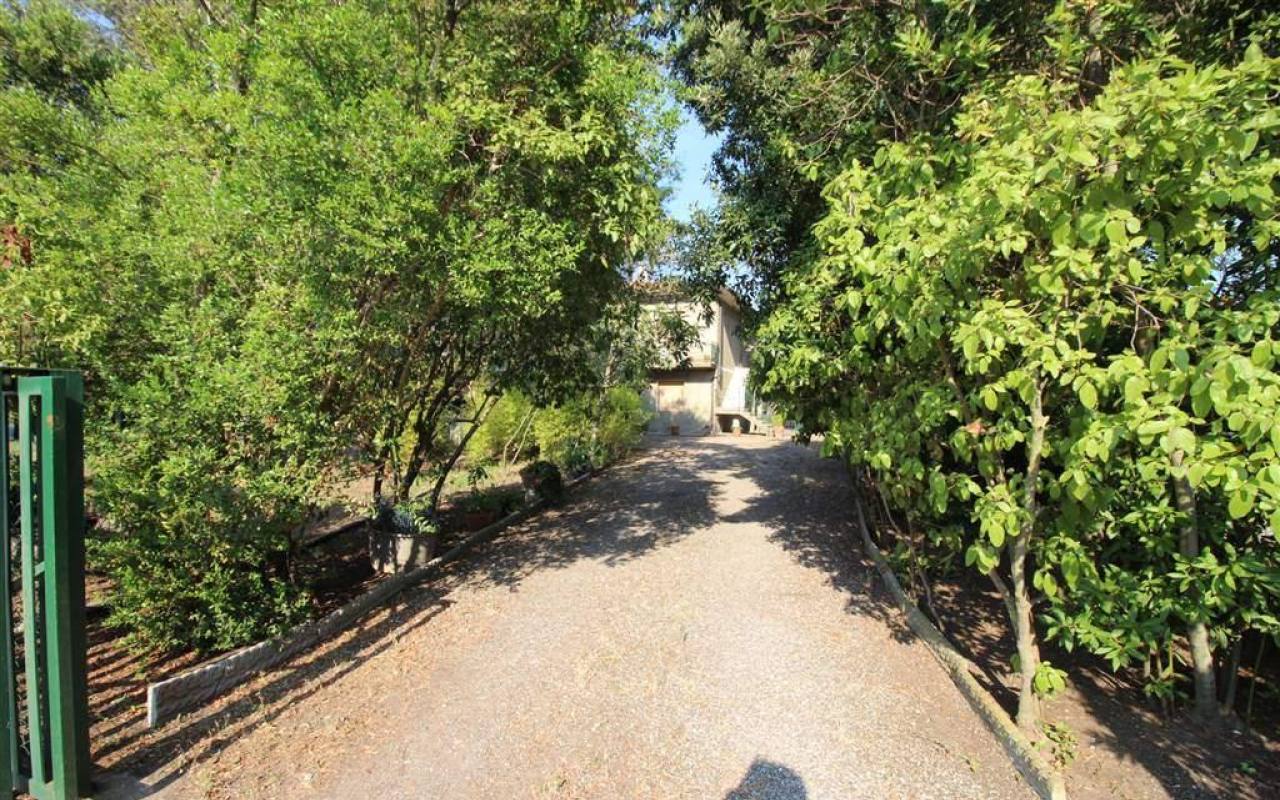 Casale in vendita a Donoratico (LI) - rif. 137 vf