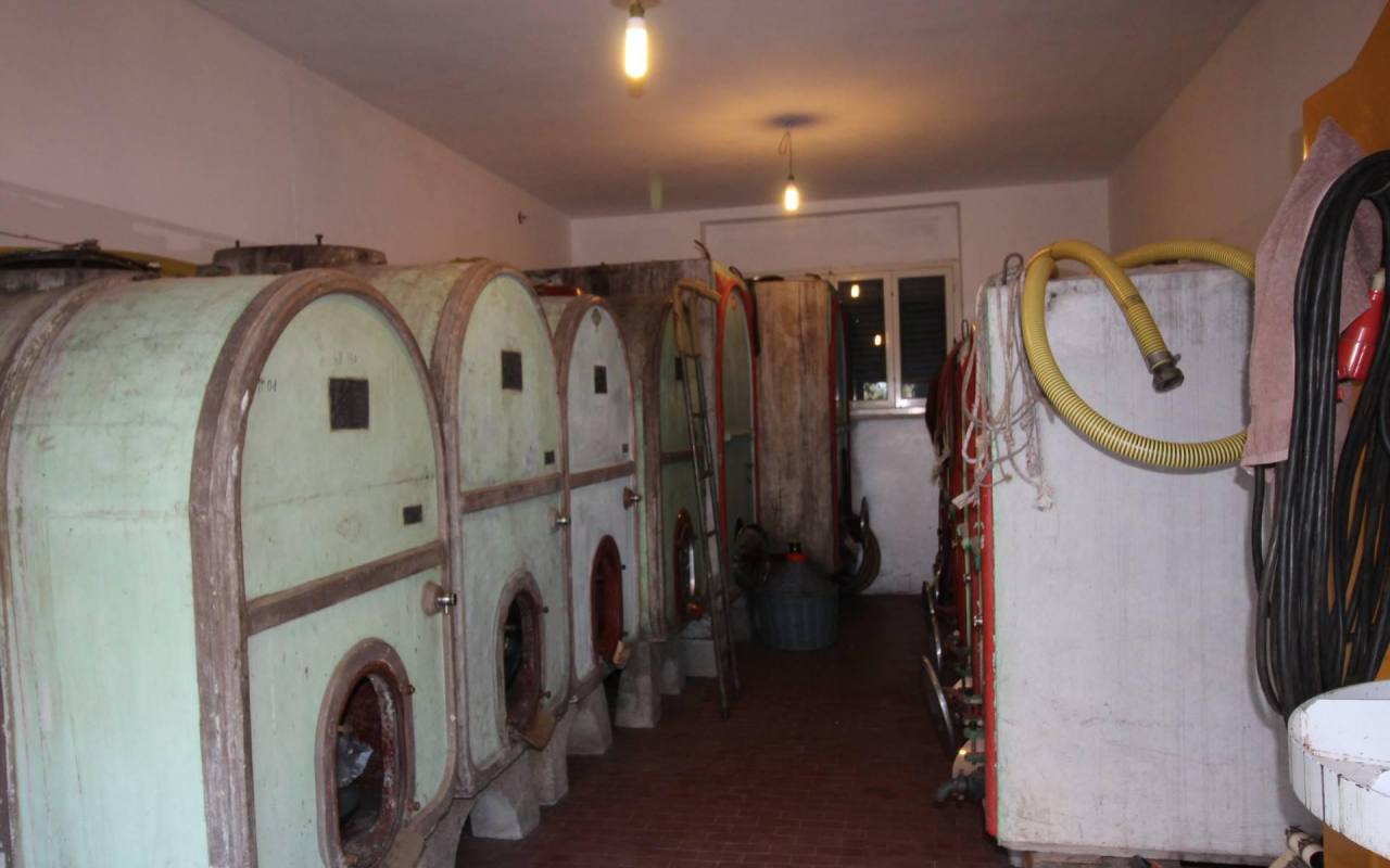 Casale in vendita a San Lorenzo (LI) - rif. 200 vf