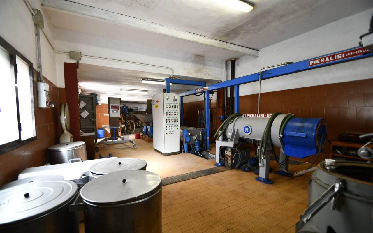 Casale in vendita a Lumiere (LI) - rif. 209 vf