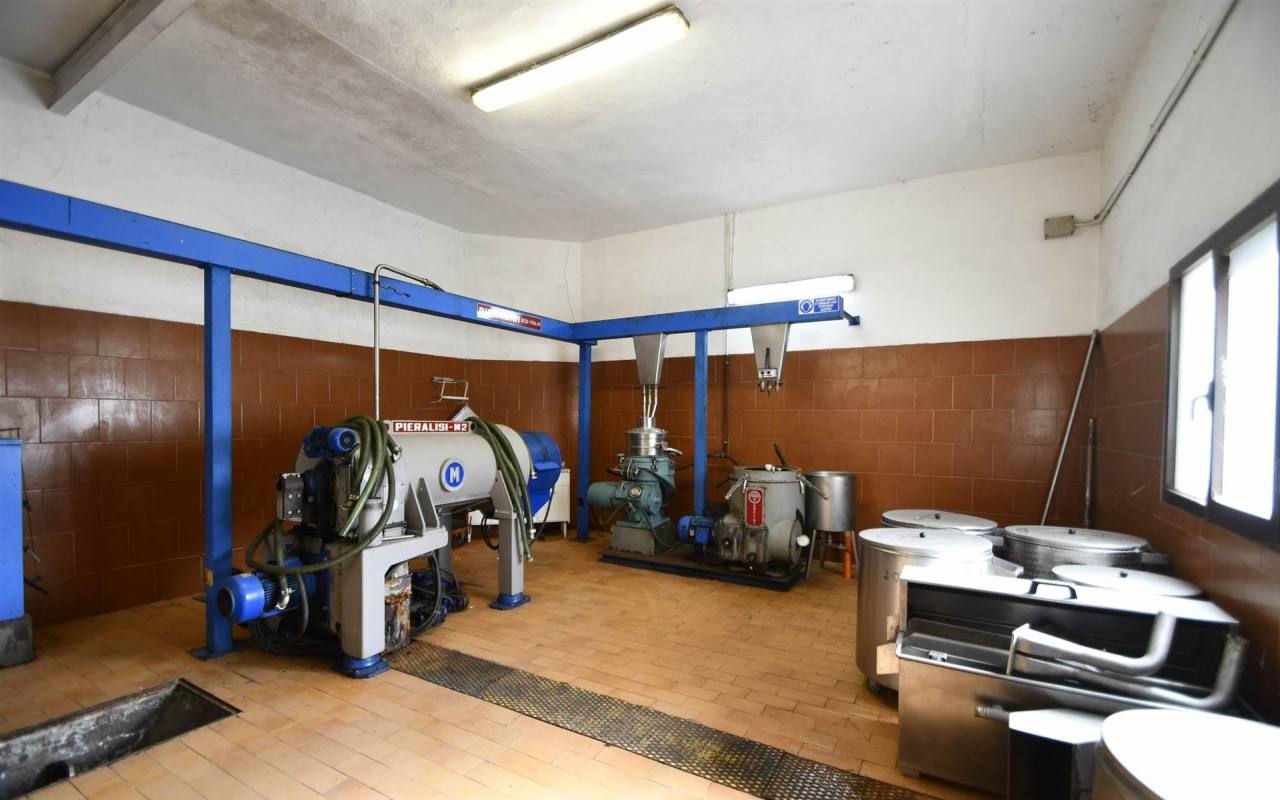 Casale in vendita a Lumiere (LI) - rif. 209 vf