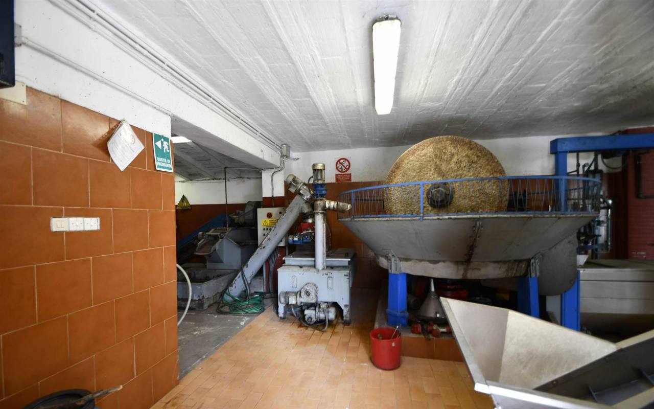 Casale in vendita a Lumiere (LI) - rif. 209 vf