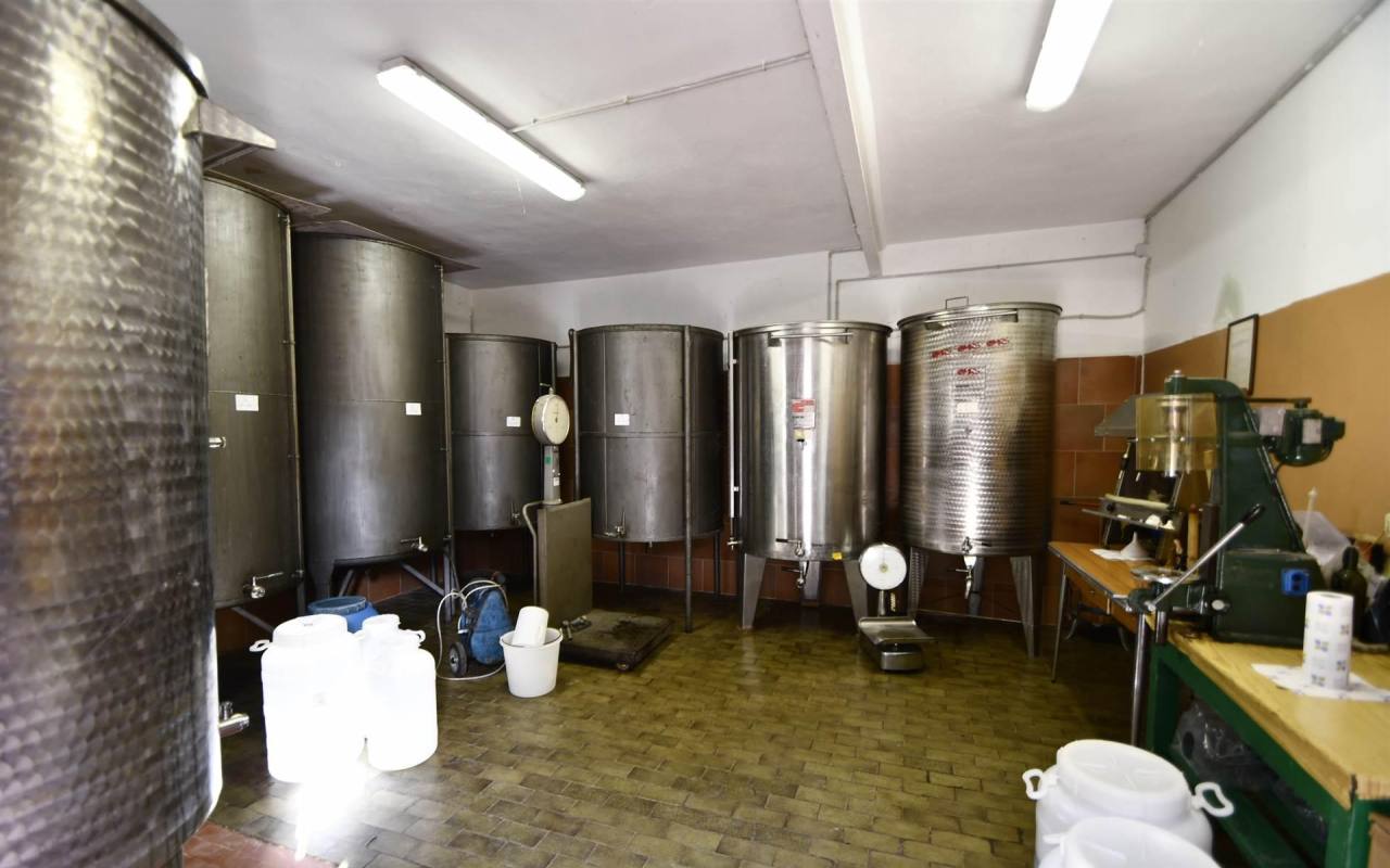 Casale in vendita a Lumiere (LI) - rif. 209 vf