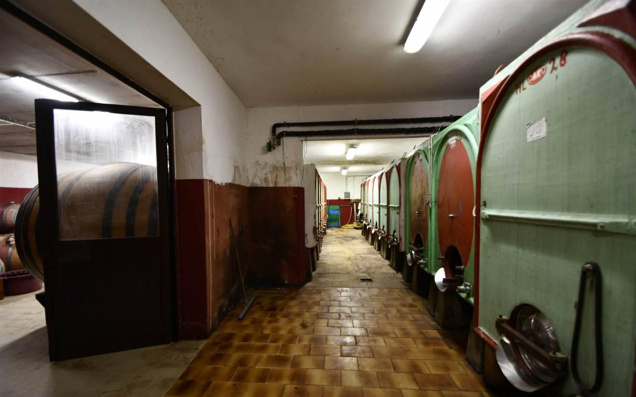 Casale in vendita a Lumiere (LI) - rif. 209 vf