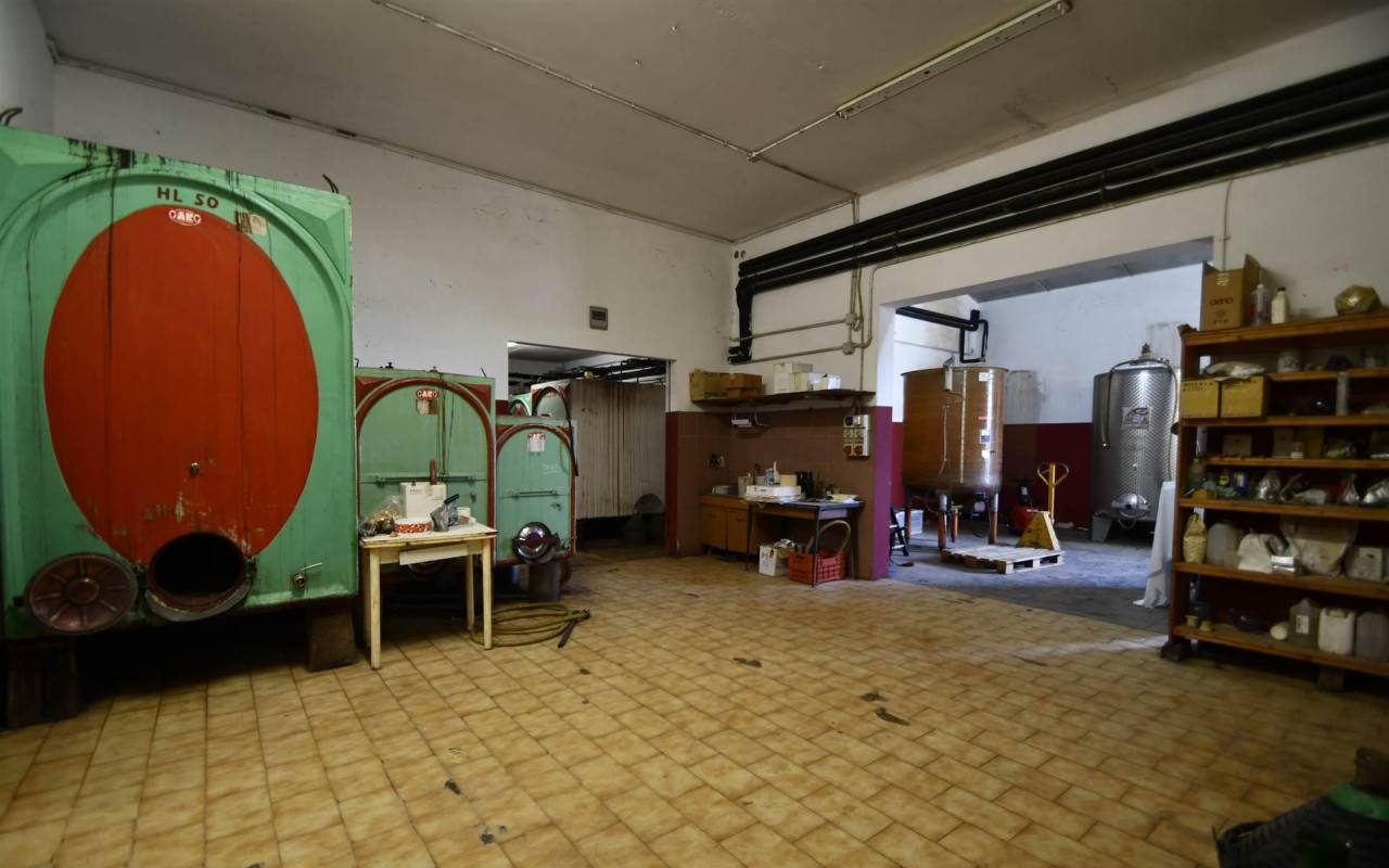 Casale in vendita a Lumiere (LI) - rif. 209 vf