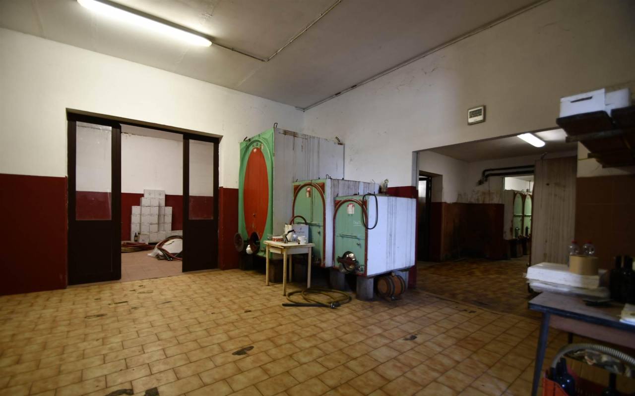 Casale in vendita a Lumiere (LI) - rif. 209 vf