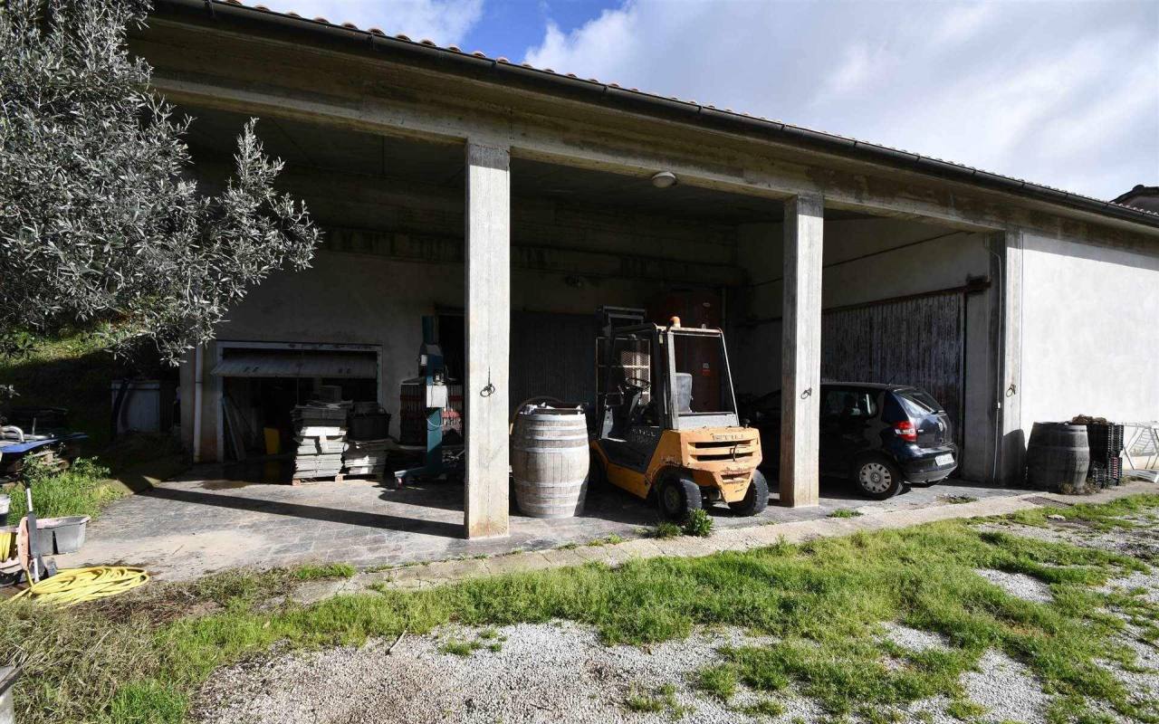 Casale in vendita a Lumiere (LI) - rif. 209 vf