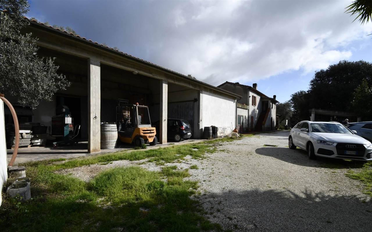 Casale in vendita a Lumiere (LI) - rif. 209 vf