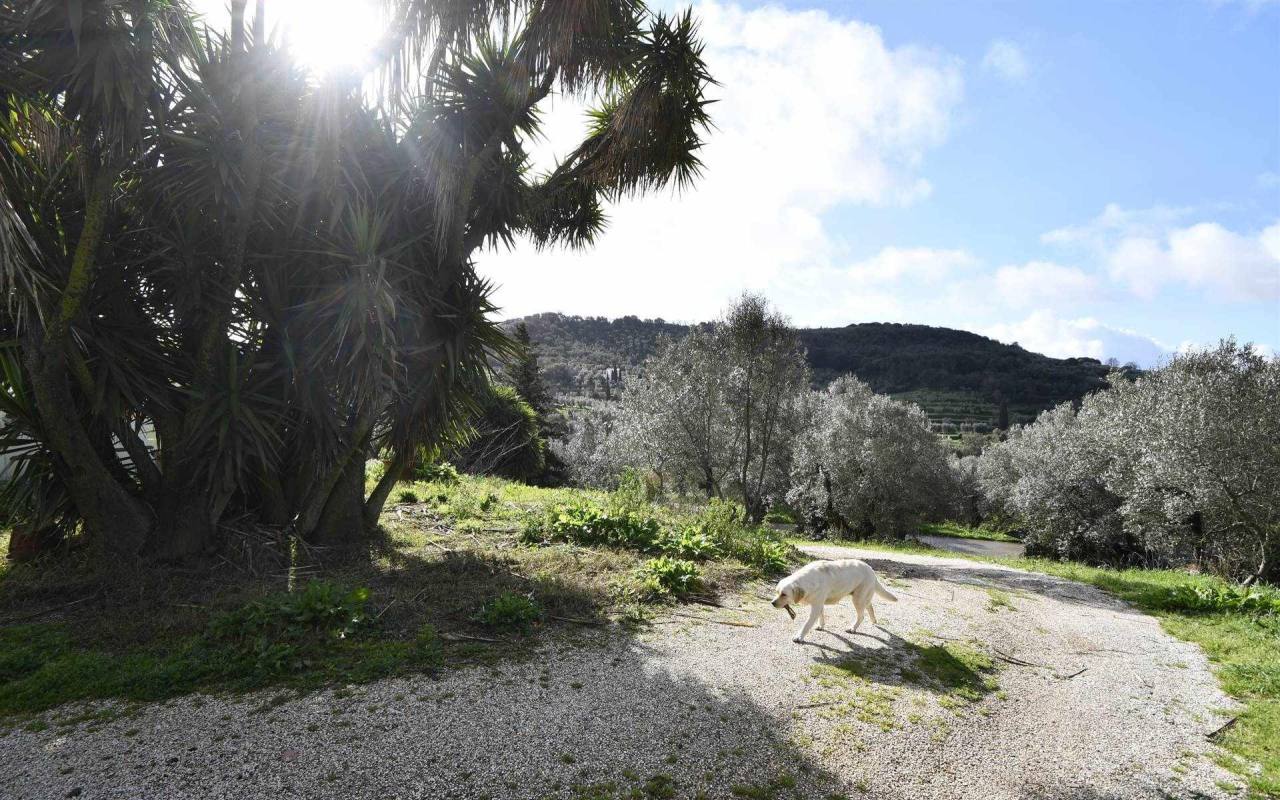 Casale in vendita a Lumiere (LI) - rif. 209 vf