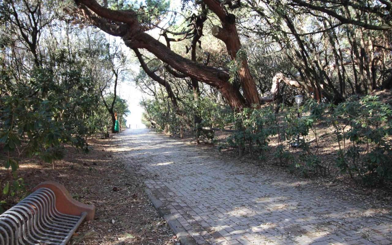 Appartamento in vendita a San Vincenzo (LI) - rif. 165 pr