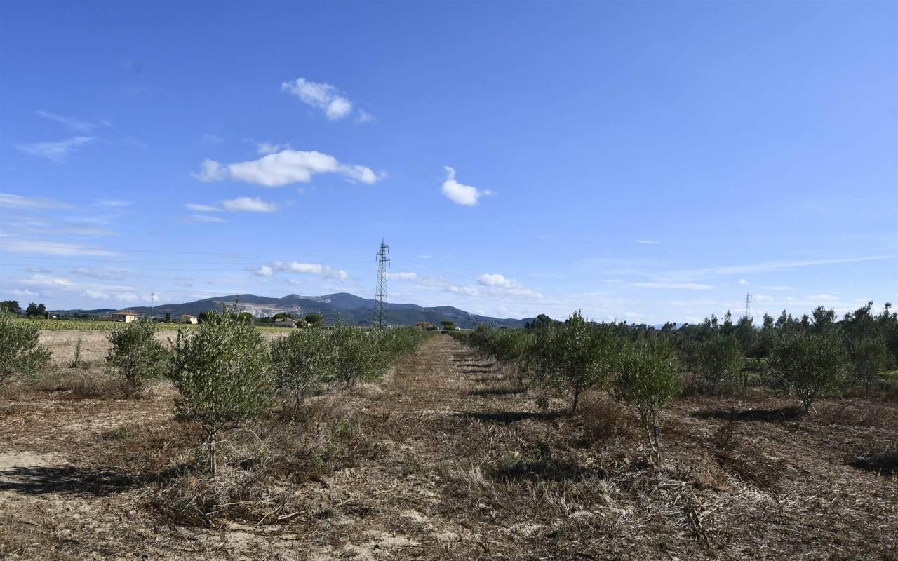 Terreno o annesso agricolo in vendita a Venturina Terme (LI) - rif. 211 VF