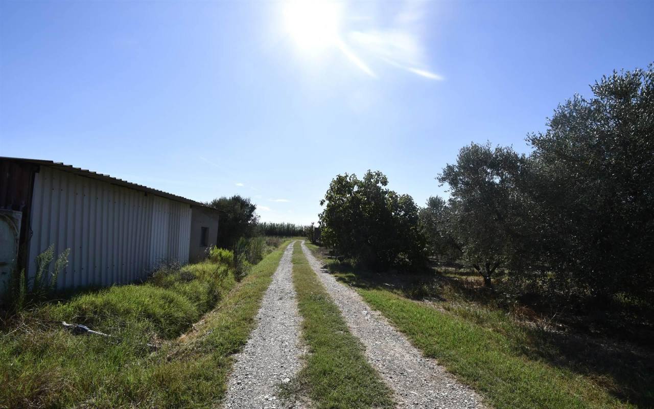 Terreno o annesso agricolo in vendita a Venturina Terme (LI) - rif. 211 VF