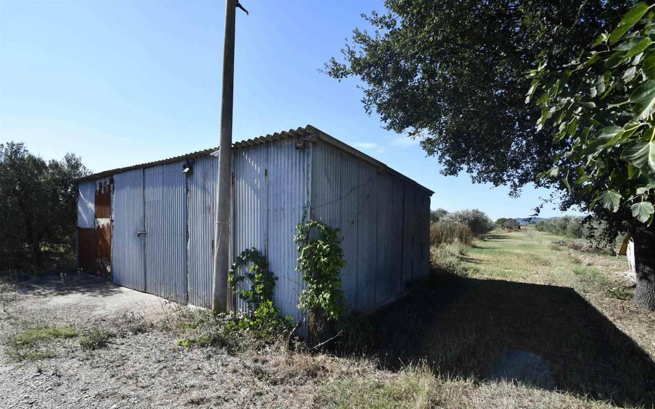 Terreno o annesso agricolo in vendita a Venturina Terme (LI) - rif. 211 VF