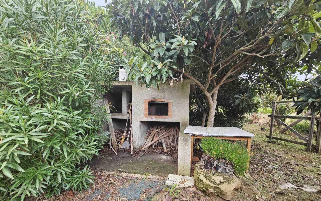 Terreno o annesso agricolo in vendita a Baratti (LI) - rif. 212 vf