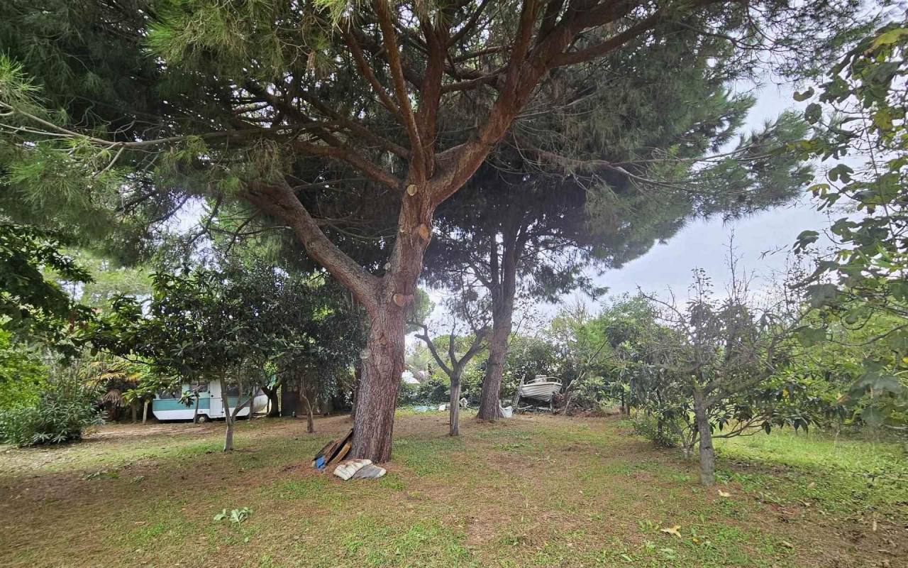 Terreno o annesso agricolo in vendita a Baratti (LI) - rif. 212 vf