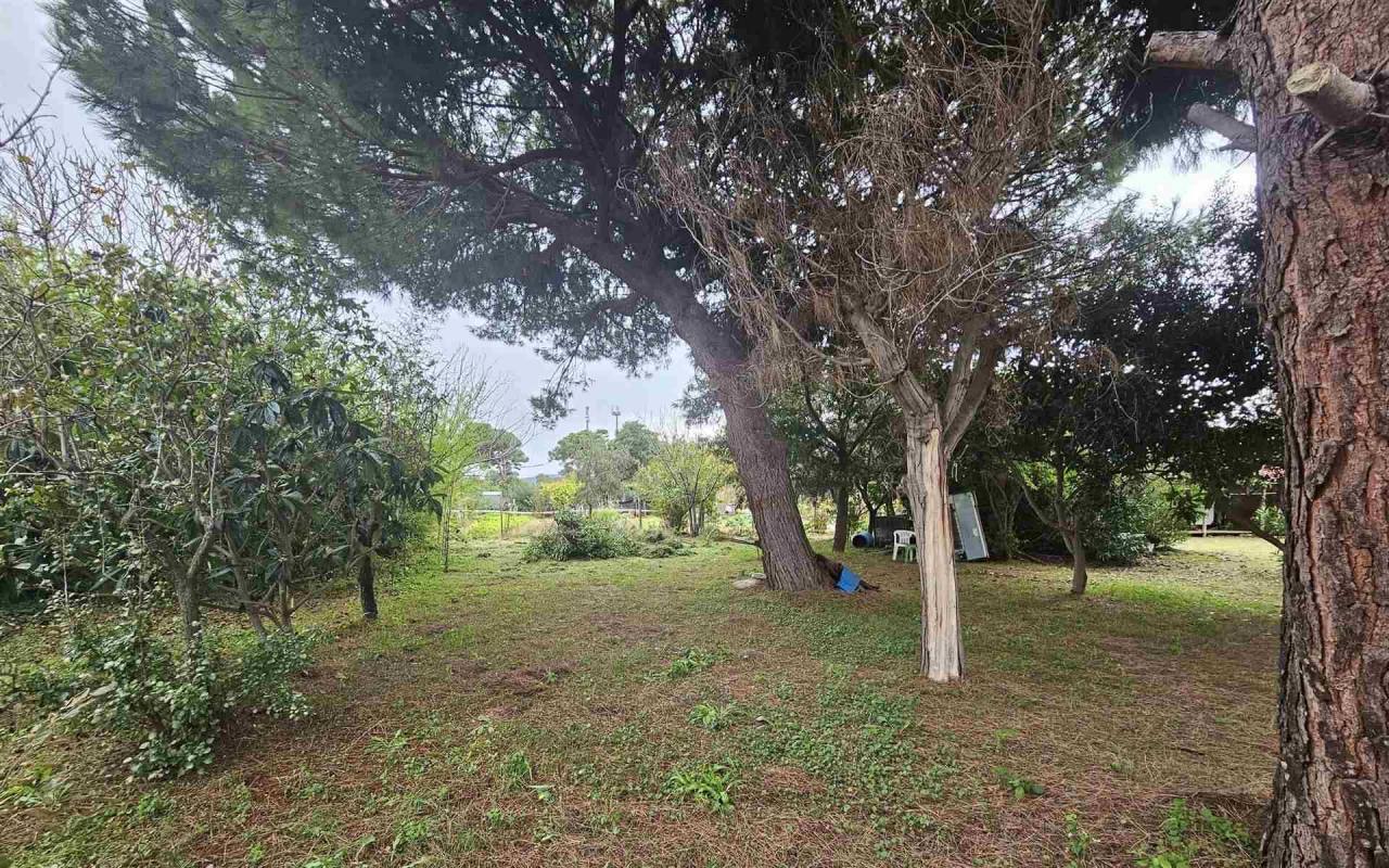 Terreno o annesso agricolo in vendita a Baratti (LI) - rif. 212 vf