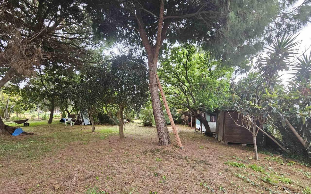 Terreno o annesso agricolo in vendita a Baratti (LI) - rif. 212 vf