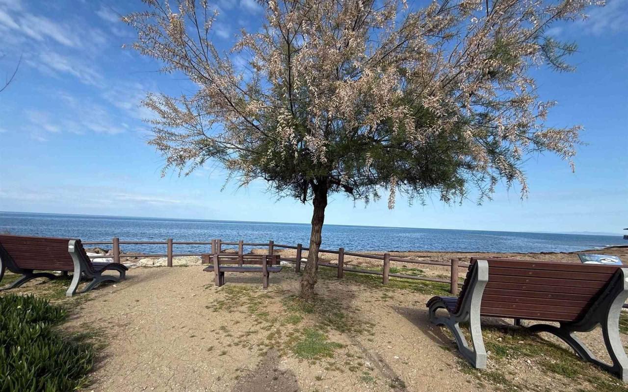 Appartamento in vendita a San Vincenzo (LI) - rif. 213 ce