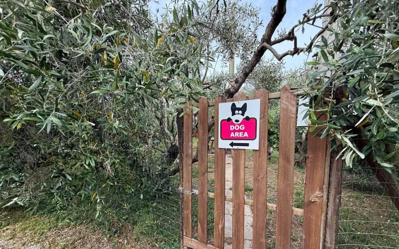 Appartamento in vendita a San Vincenzo (LI) - rif. 682 pn