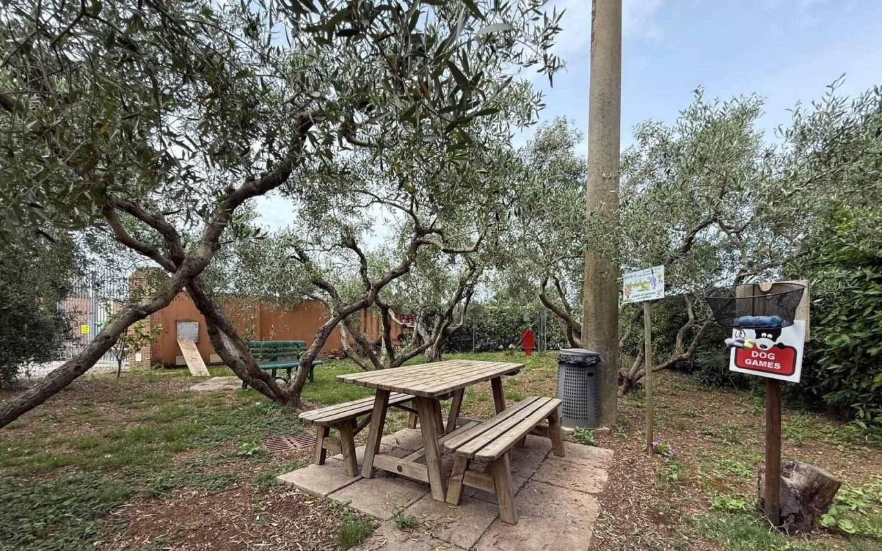 Appartamento in vendita a San Vincenzo (LI) - rif. 682 pn