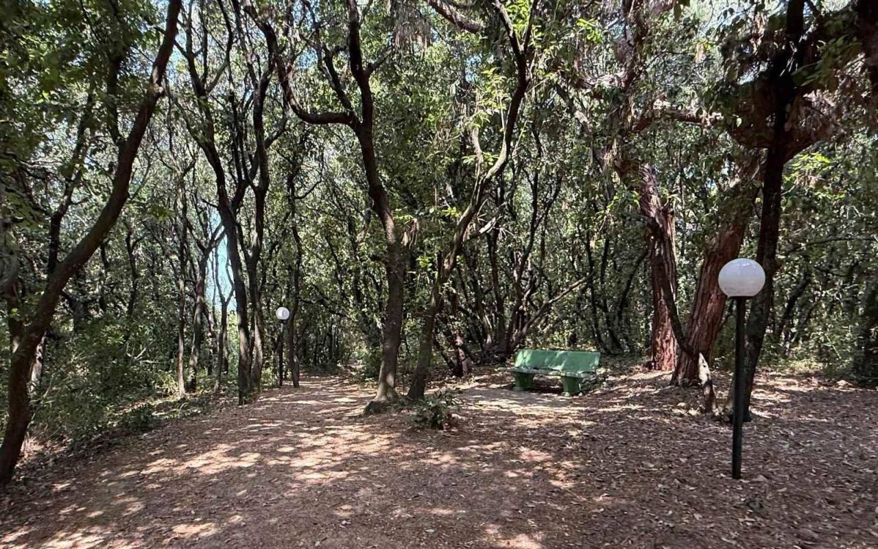 Appartamento in vendita a San Vincenzo (LI) - rif. 169 pr