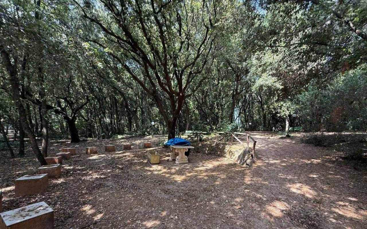 Appartamento in vendita a San Vincenzo (LI) - rif. 169 pr