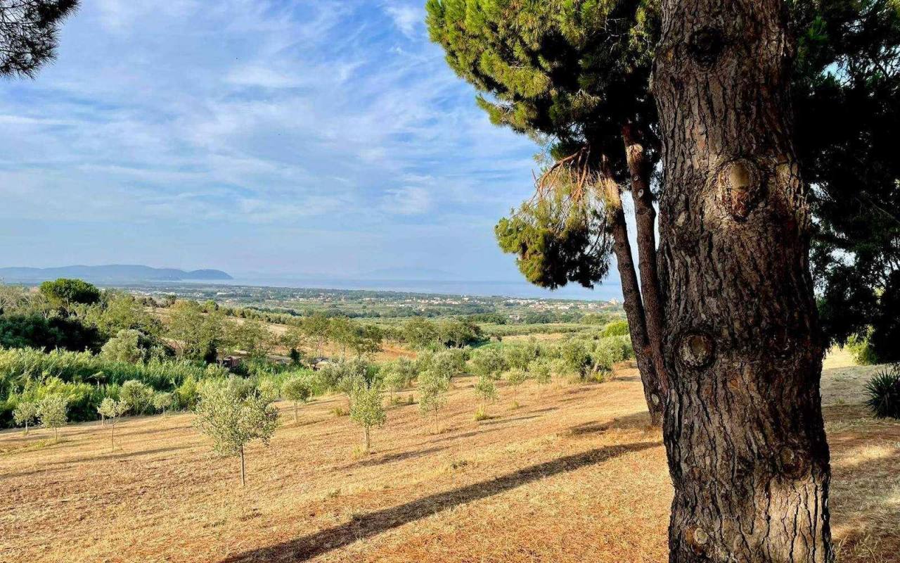 Terreno o annesso agricolo in vendita a San Carlo (LI) - rif. 59tsv