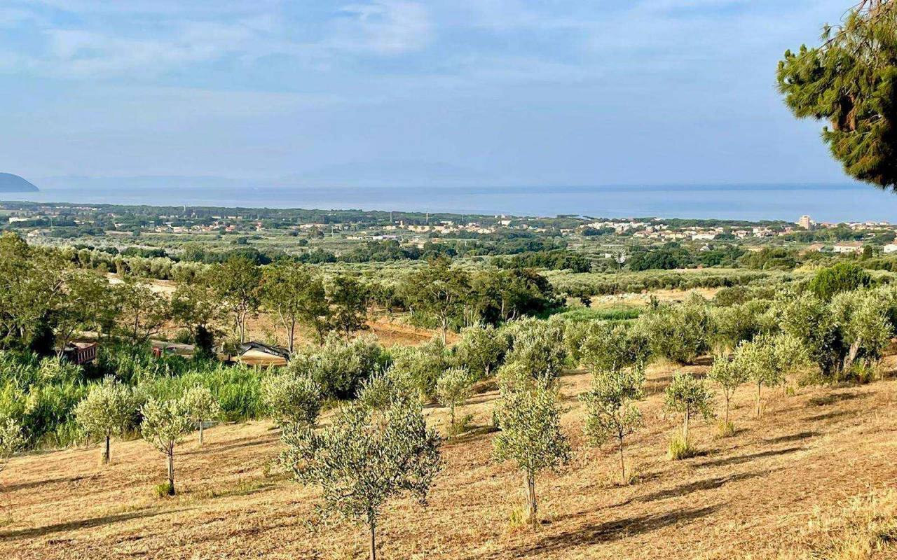 Terreno o annesso agricolo in vendita a San Carlo (LI) - rif. 59tsv