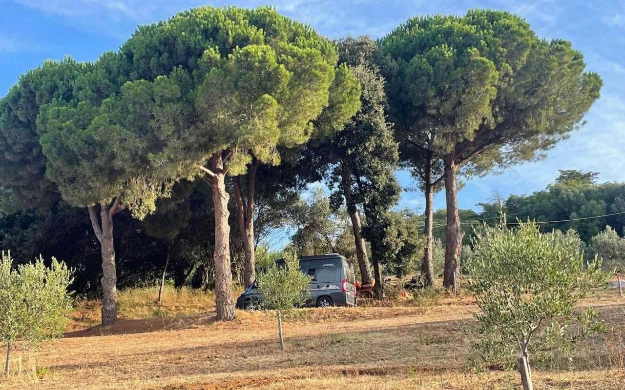 Terreno o annesso agricolo in vendita a San Carlo (LI) - rif. 59tsv