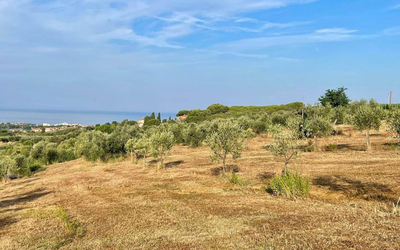 Terreno o annesso agricolo in vendita a San Vincenzo (LI) - rif. 57 tsv