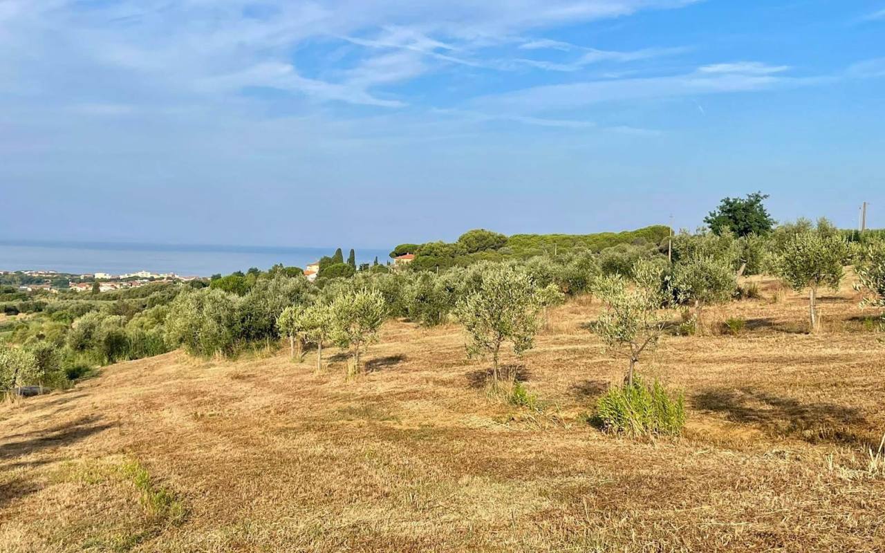 Terreno o annesso agricolo in vendita a San Vincenzo (LI) - rif. 57 tsv