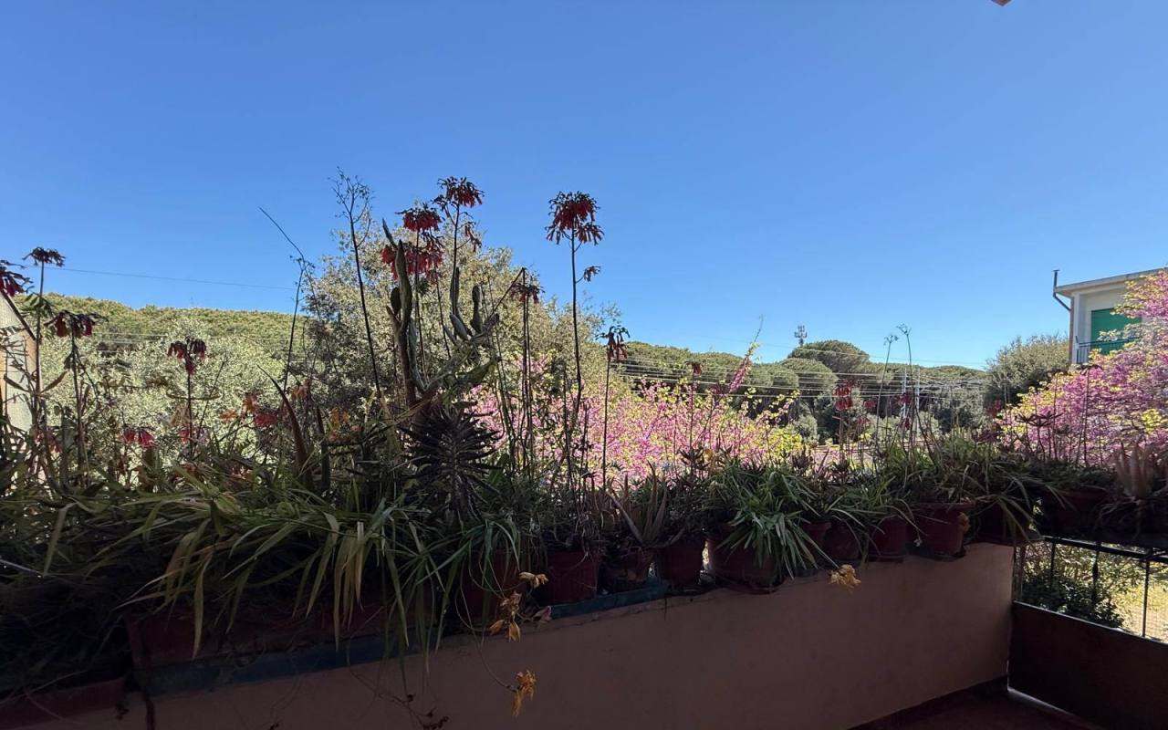 Appartamento in vendita a San Vincenzo (LI) - rif. 173 pr