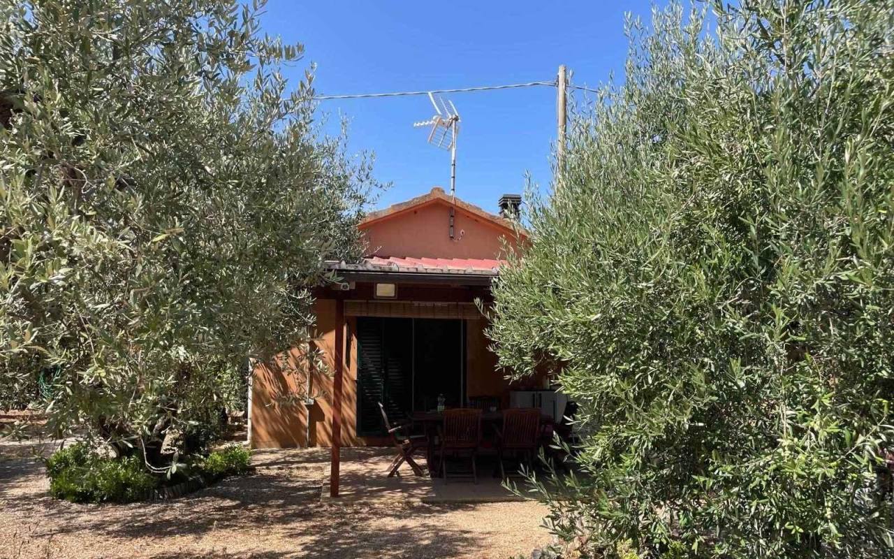Terreno o annesso agricolo in vendita a San Vincenzo (LI) - rif. 60 csv