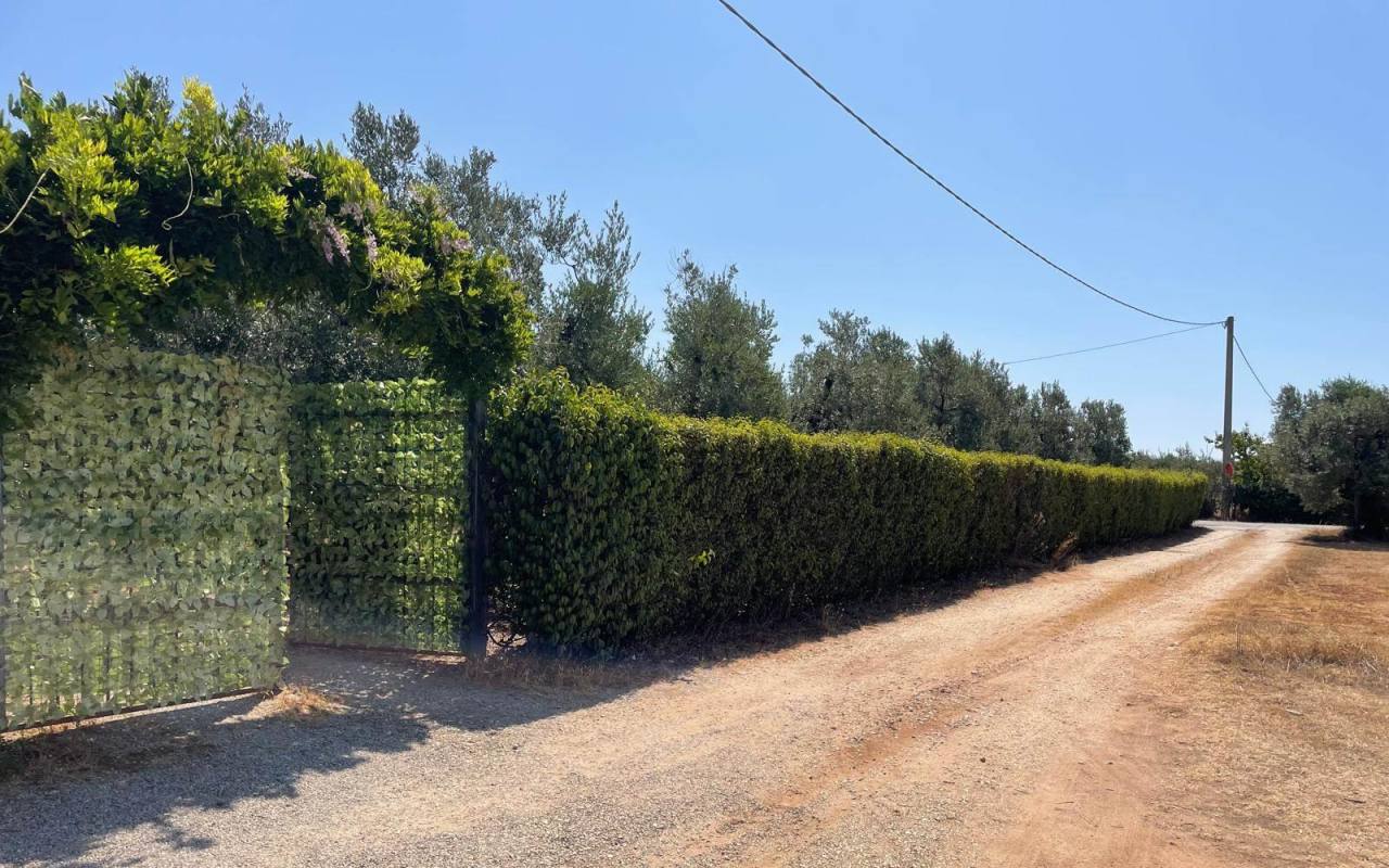 Terreno o annesso agricolo in vendita a San Vincenzo (LI) - rif. 60 csv