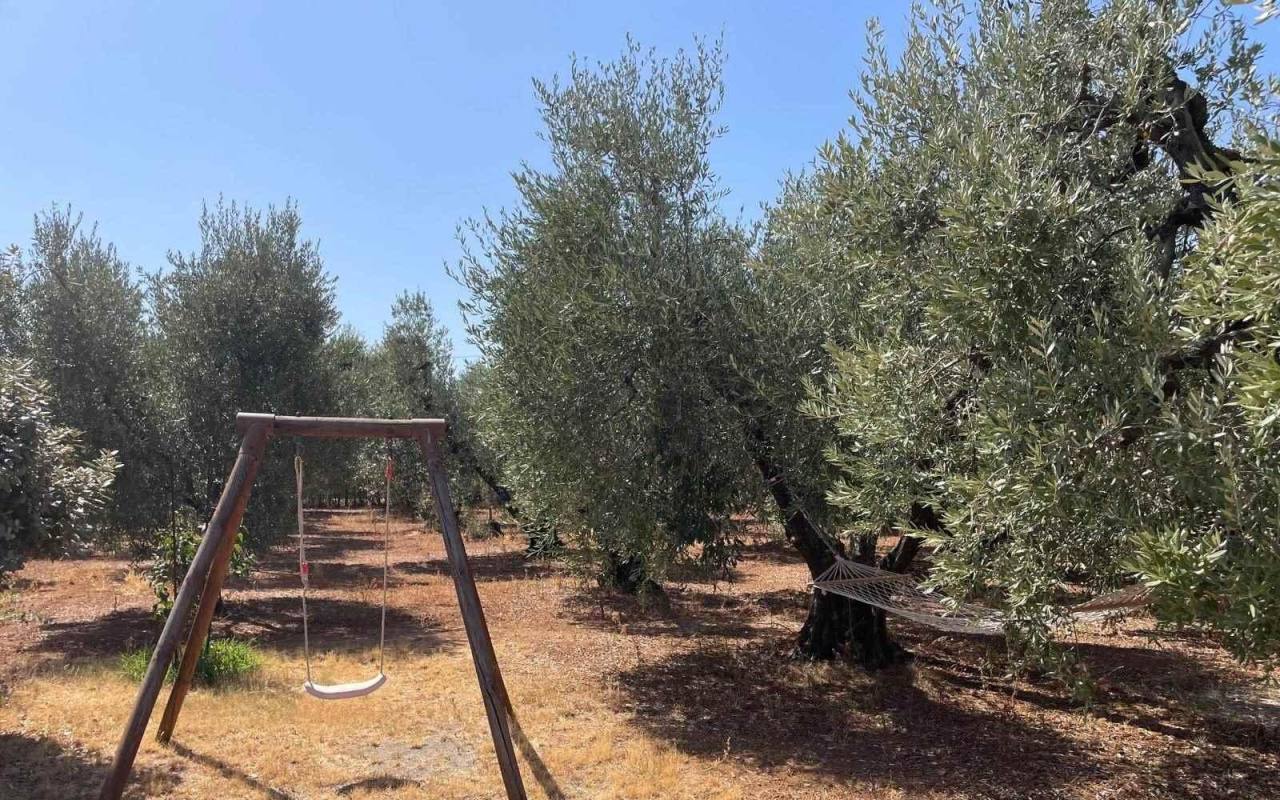 Terreno o annesso agricolo in vendita a San Vincenzo (LI) - rif. 60 csv