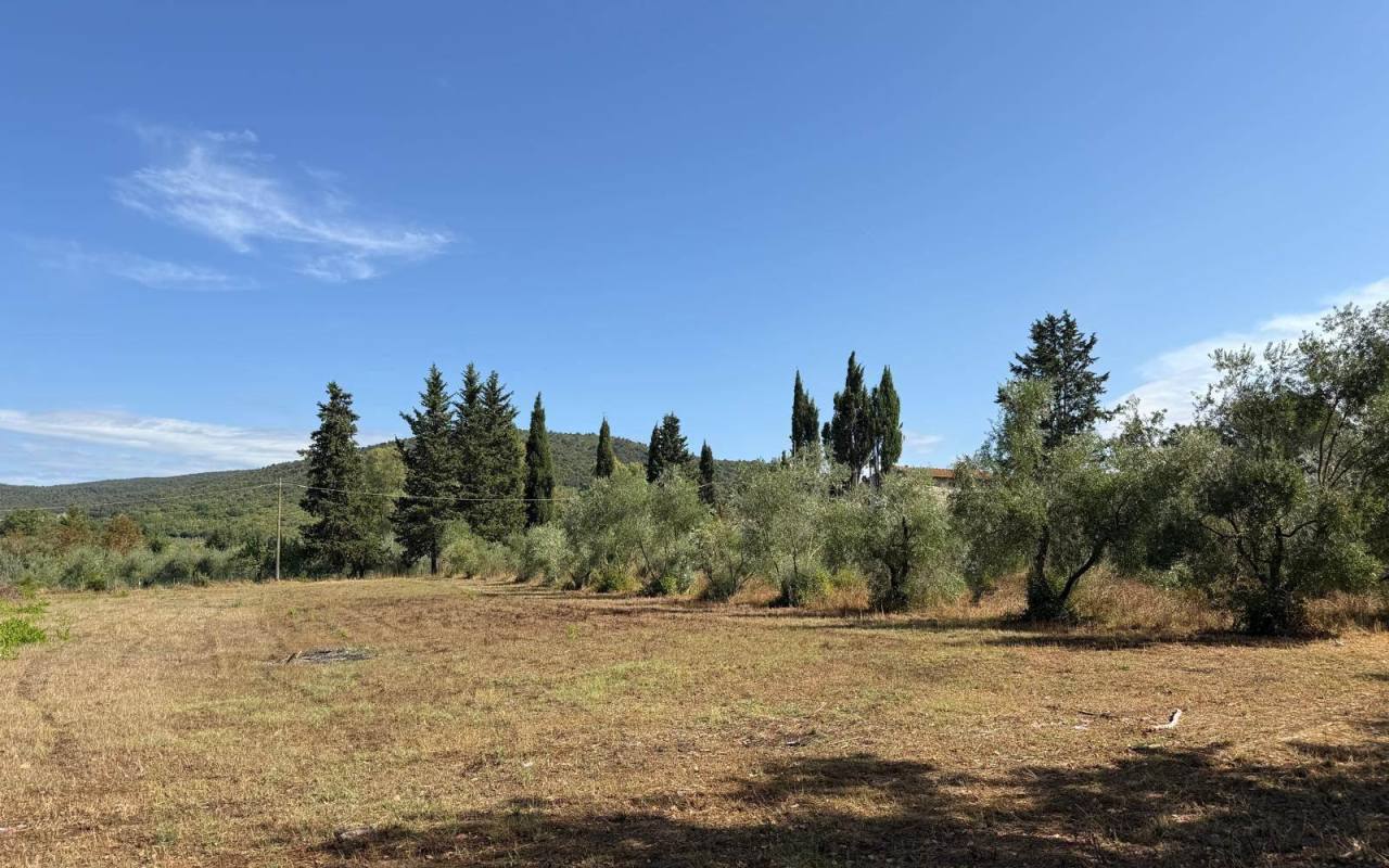 Villa in vendita a Gavorrano (GR) - rif. 214 vf
