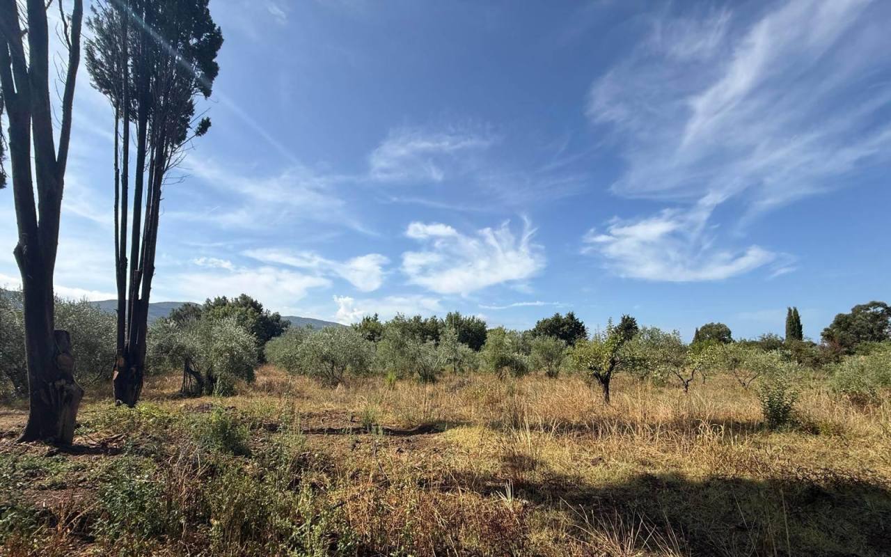 Villa in vendita a Gavorrano (GR) - rif. 214 vf