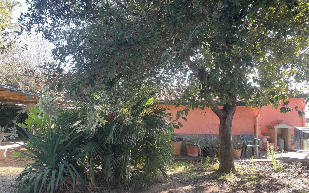 Terreno o annesso agricolo in vendita a Donoratico (LI) - rif. 61 csv
