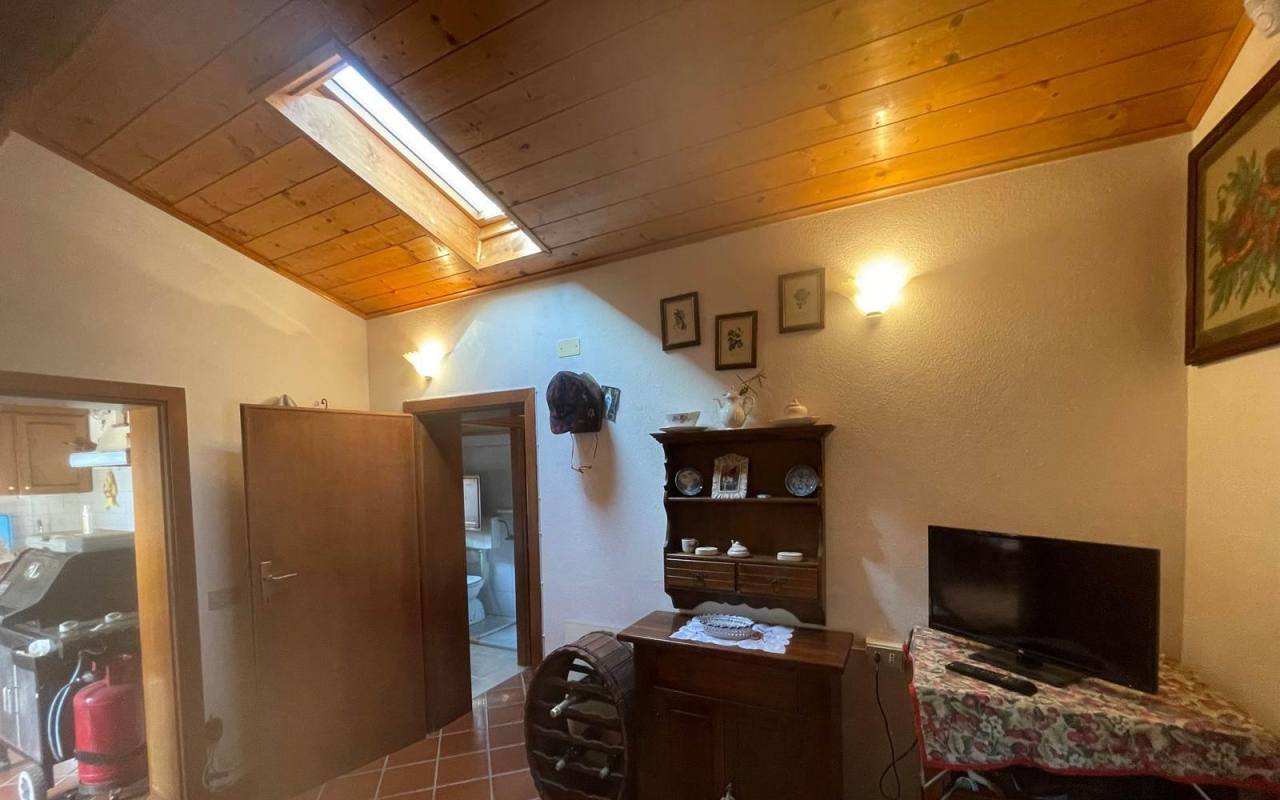 Terreno o annesso agricolo in vendita a Donoratico (LI) - rif. 61 csv