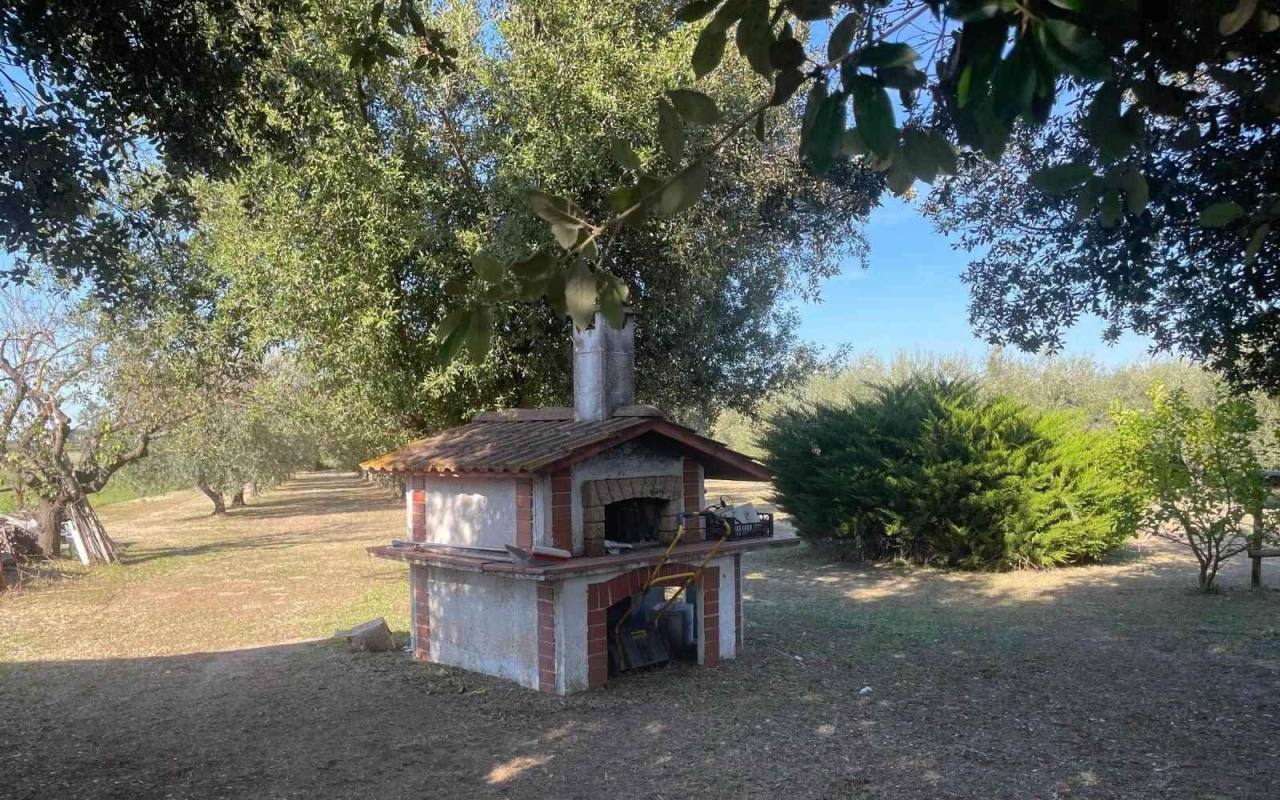 Terreno o annesso agricolo in vendita a Donoratico (LI) - rif. 61 csv