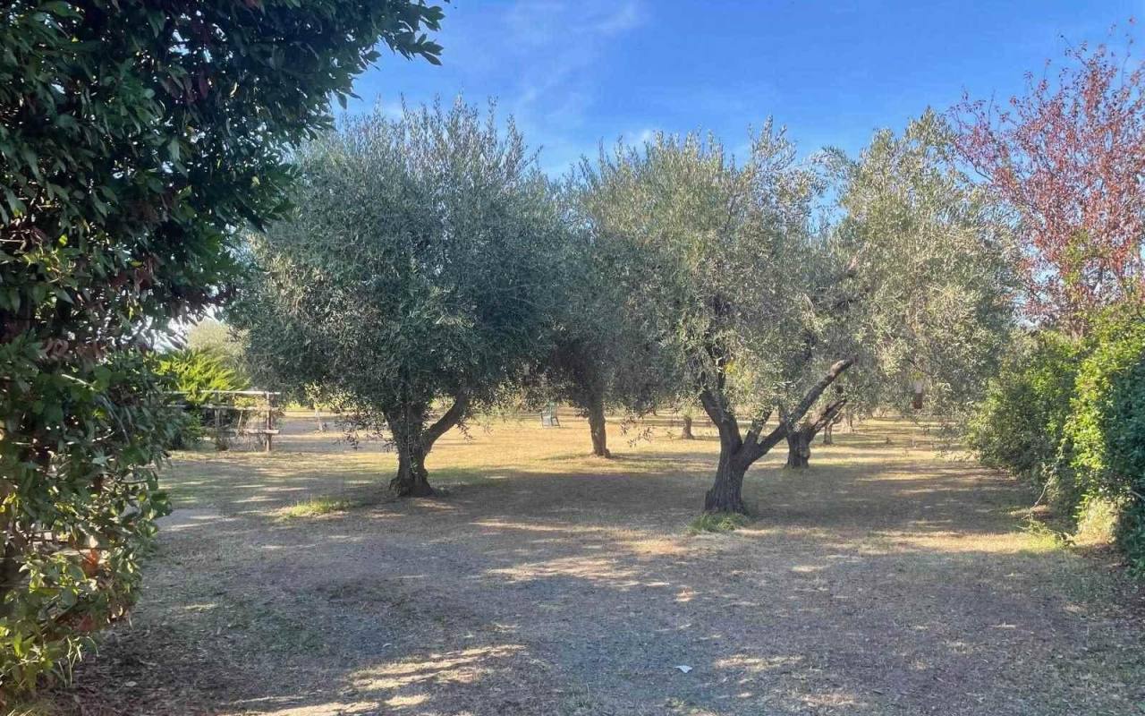 Terreno o annesso agricolo in vendita a Donoratico (LI) - rif. 61 csv