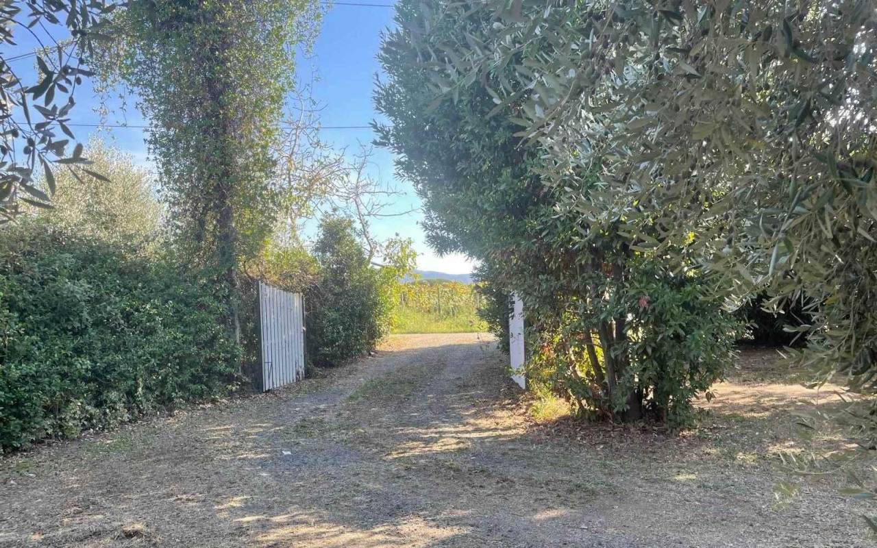 Terreno o annesso agricolo in vendita a Donoratico (LI) - rif. 61 csv