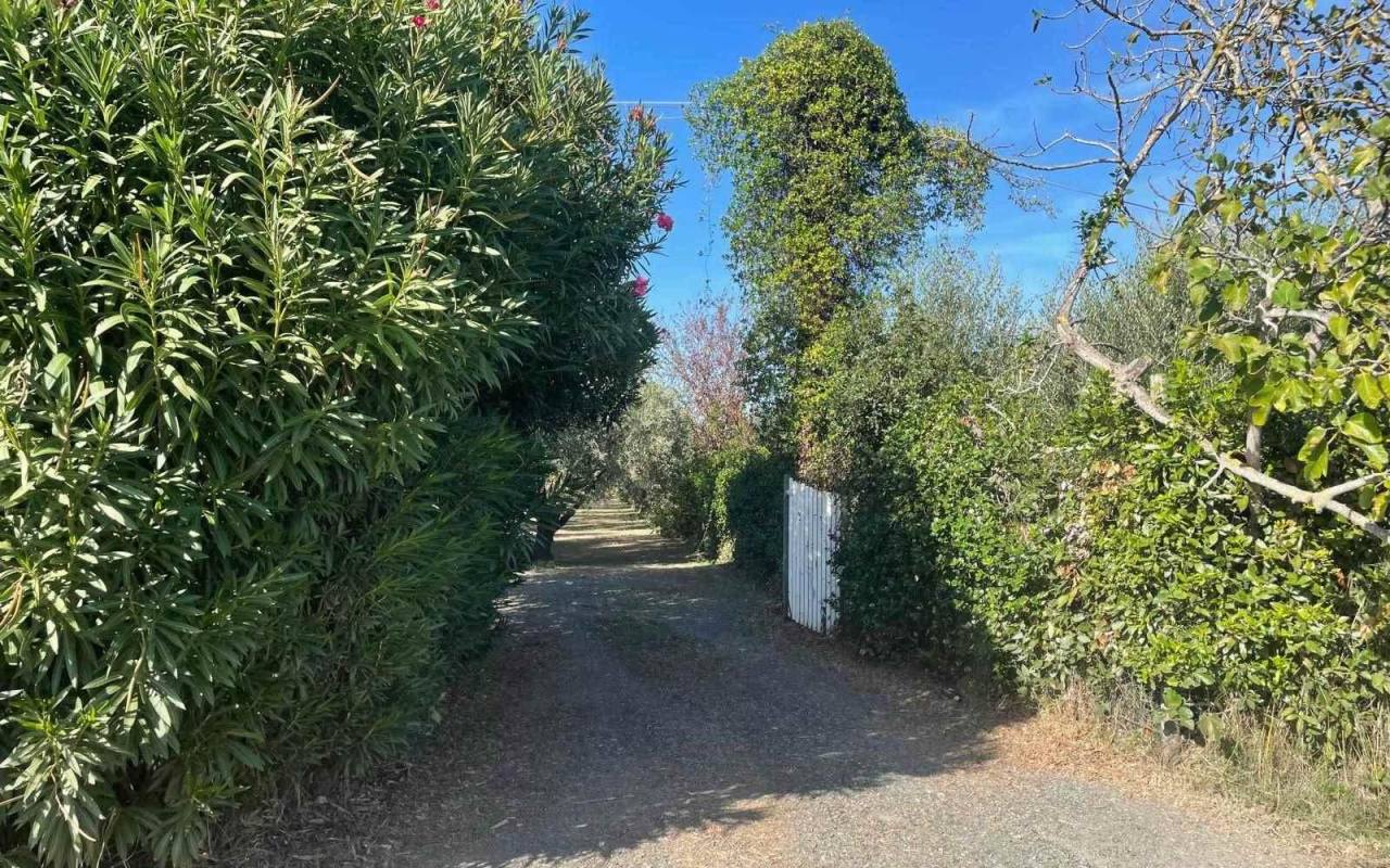 Terreno o annesso agricolo in vendita a Donoratico (LI) - rif. 61 csv