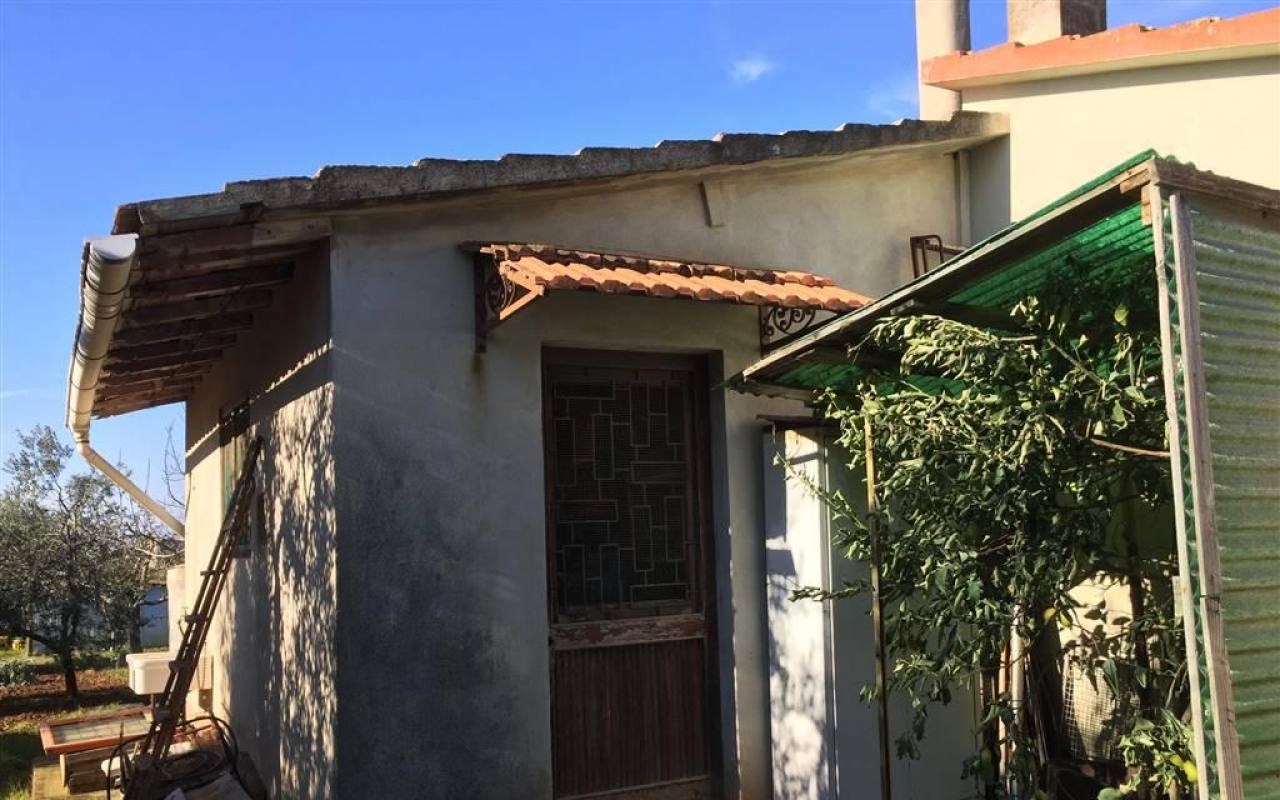 Terreno o annesso agricolo in vendita a San Vincenzo (LI) - rif. 43 tsv